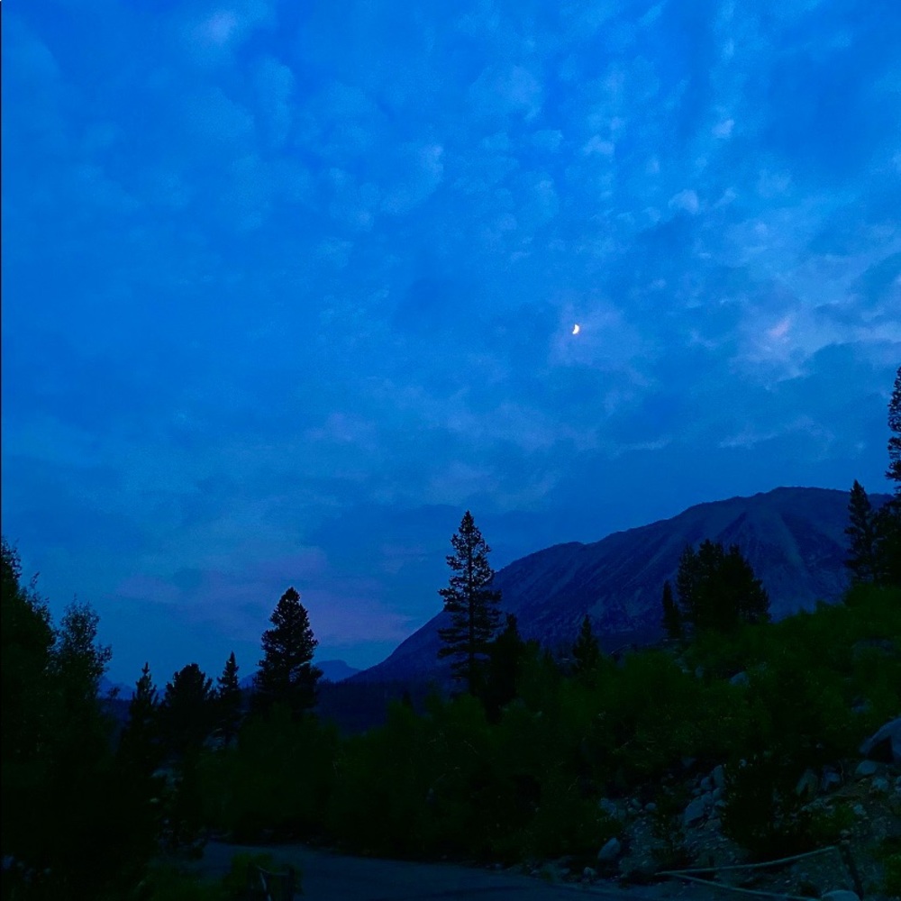 Meet your Posher, Isabel